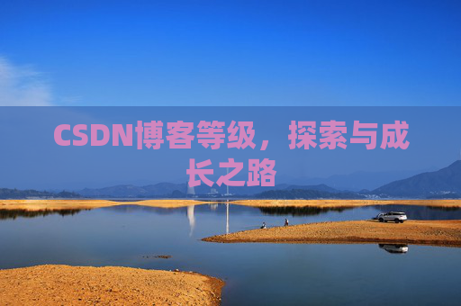 CSDN博客等级,探索与成长之路